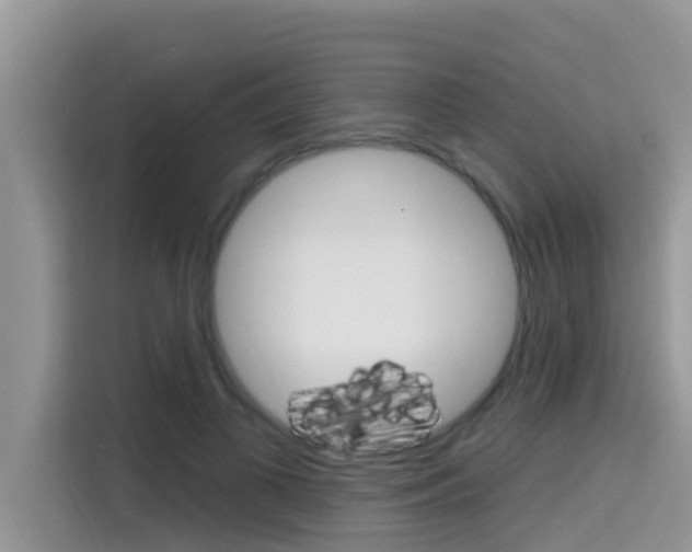 X0000115610693200911100932