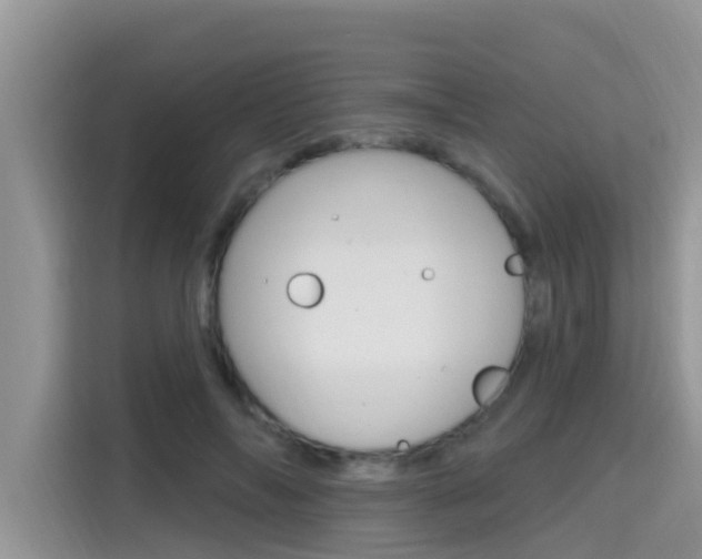 X0000115610694200911100932