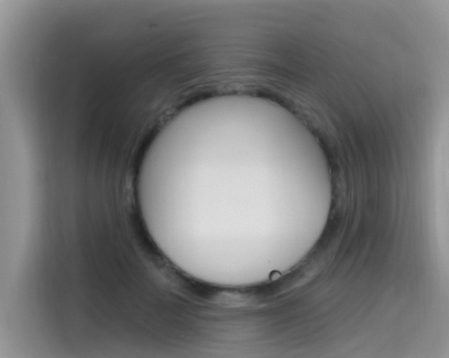 X0000115610699200911100932