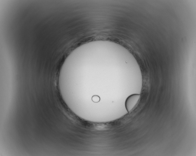 X0000115610710200911100932