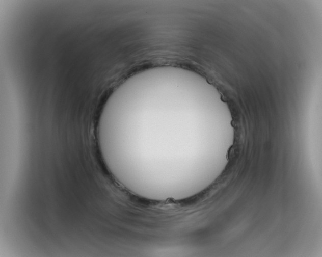 X0000115610711200911100932