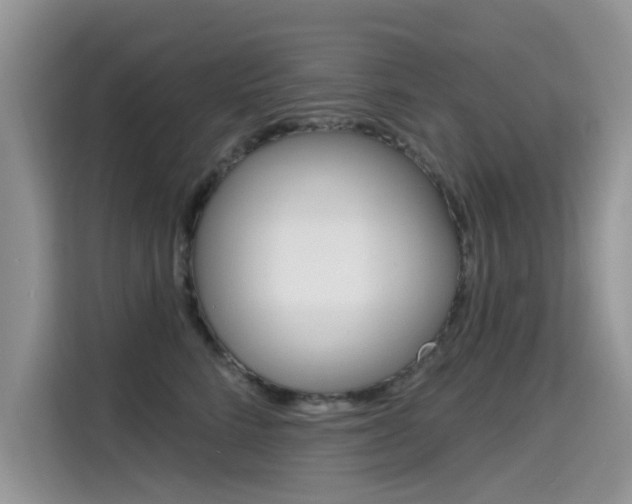 X0000115610712200911100932