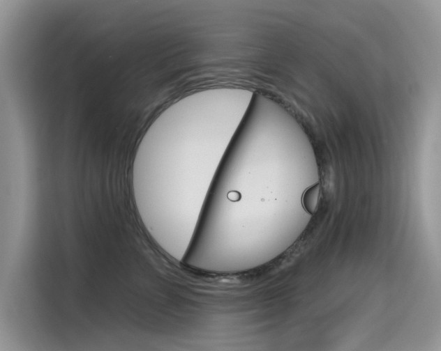 X0000115610715200911100932