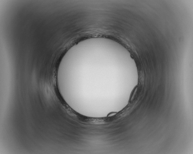 X0000115610719200911100931