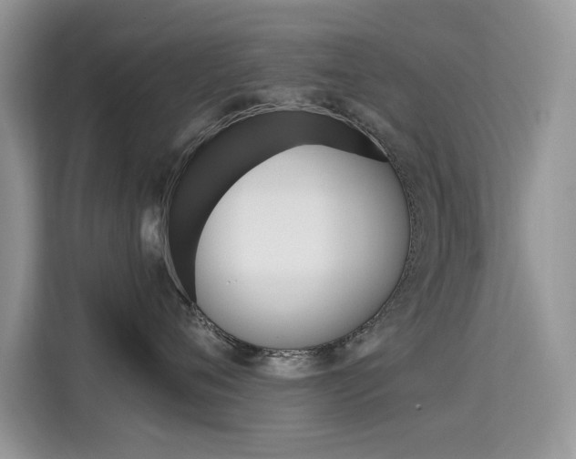 X0000115610720200911100931