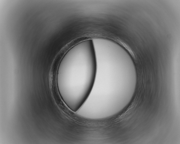 X0000115610722200911100931