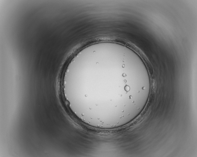 X0000115610725200911100931