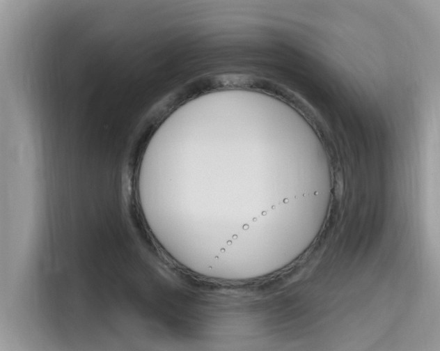 X0000115610733200911100931
