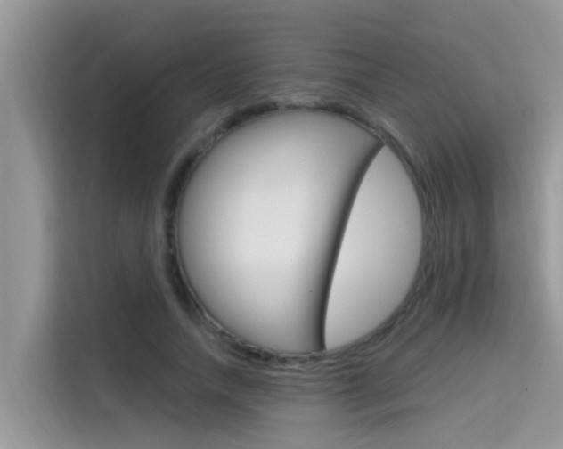 X0000115610738200911100931