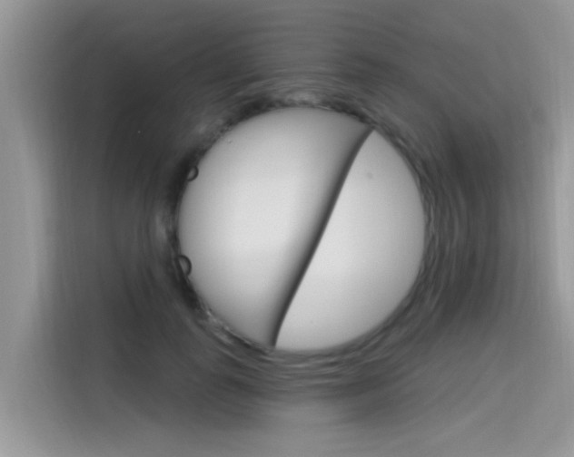 X0000115610747200911100931