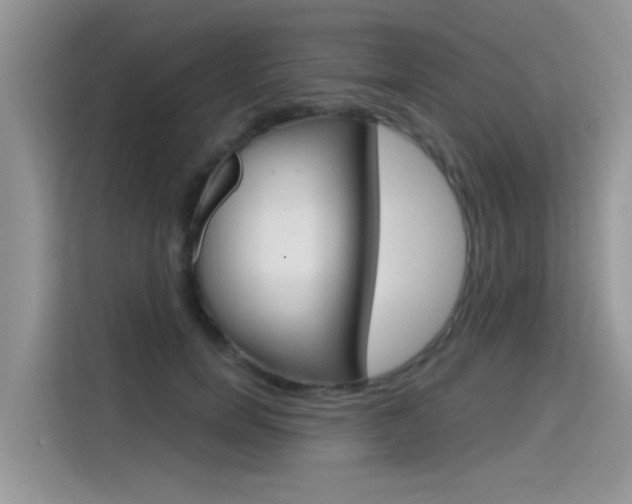 X0000115610750200911100931