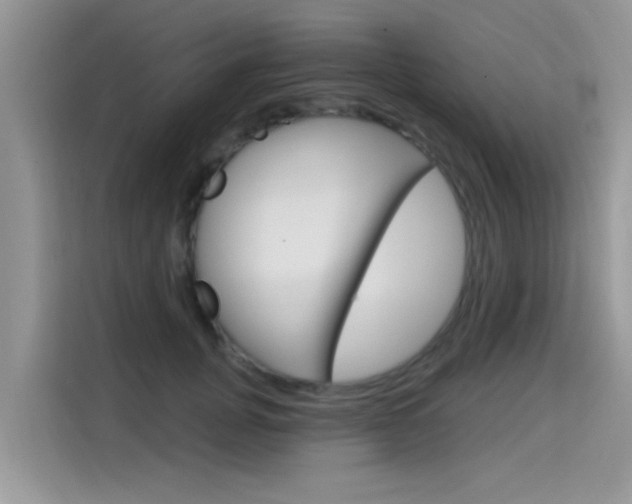 X0000115610751200911100931
