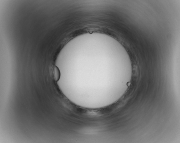 X0000115610753200911100931