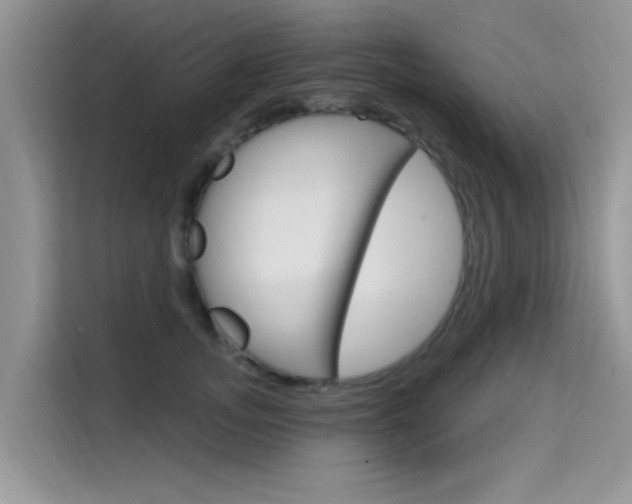 X0000115610755200911100931