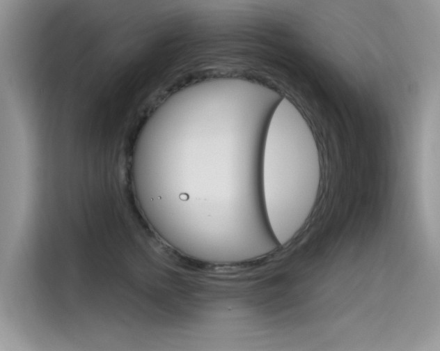 X0000115610758200911100931