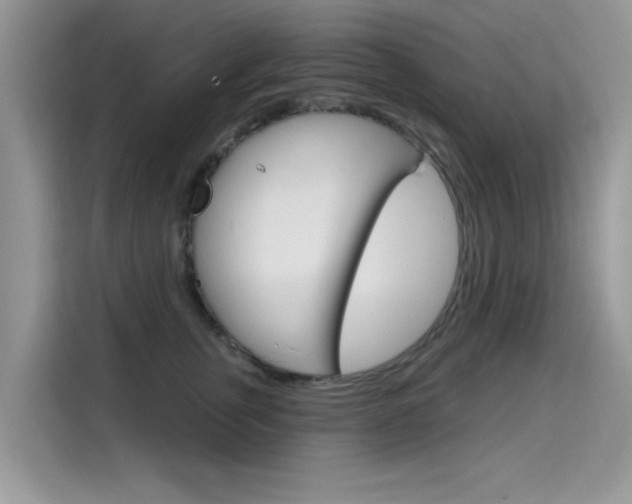X0000115610759200911100931