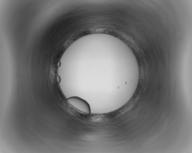 X0000115610761200911100931