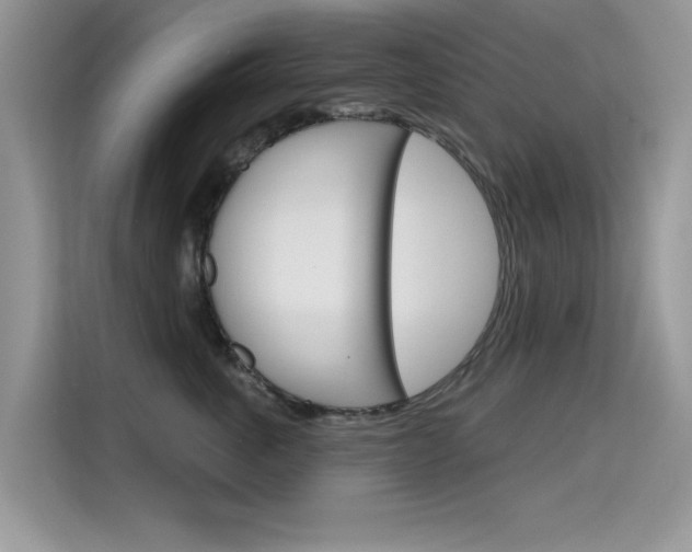 X0000115610763200911100931