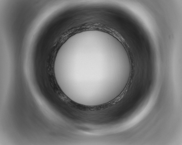 X0000115610767200911100931