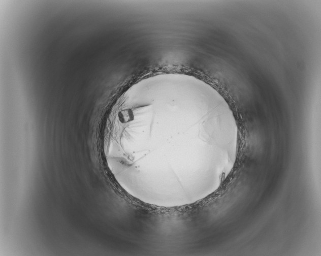 X0000115610769200911100931