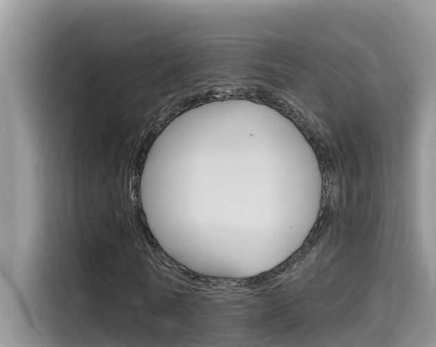X0000115610770200911100931