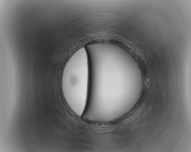 X0000115610772200911100931