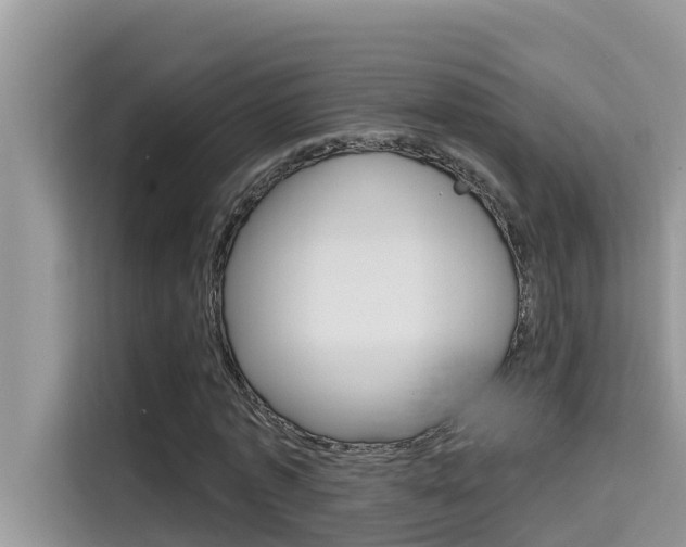 X0000115610773200911100931