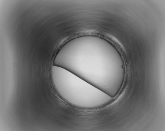 X0000115610777200911100931