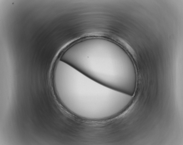 X0000115610779200911100931