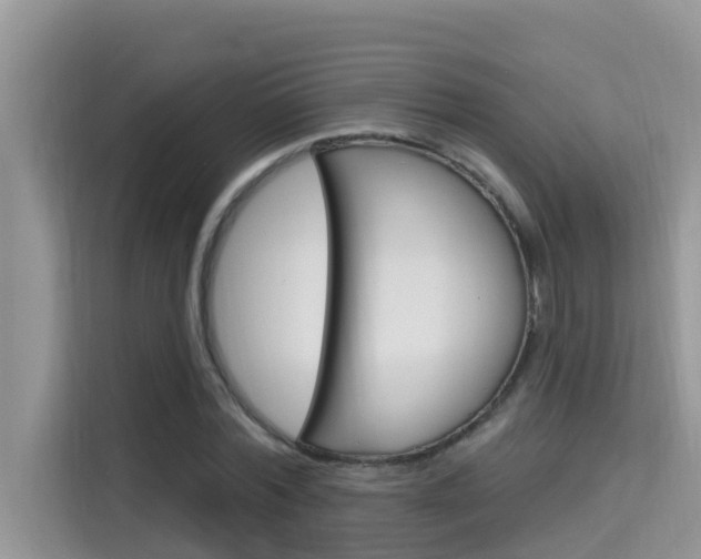 X0000115610780200911100931
