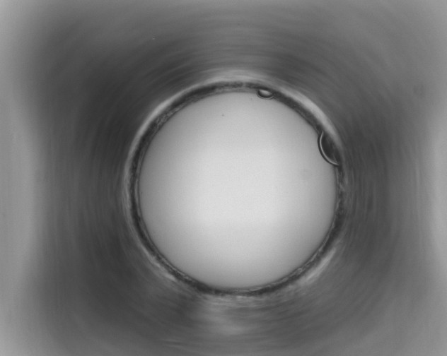 X0000115610783200911100931