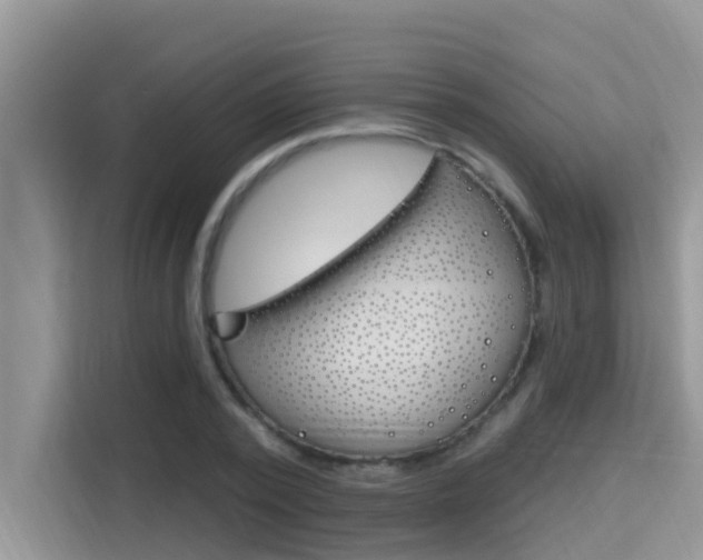 X0000115610784200911100931