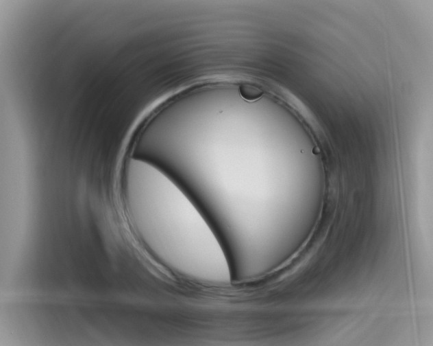 X0000115610787200911100931