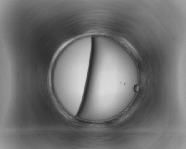 X0000115610788200911100931