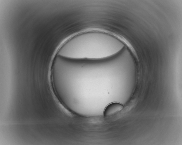 X0000115610799200911100930