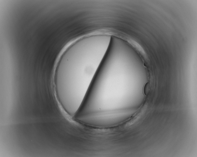 X0000115610800200911100930