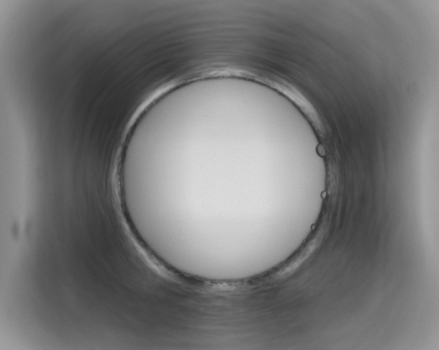 X0000115610806200911100930