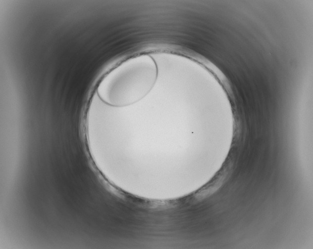 X0000115610807200911100930