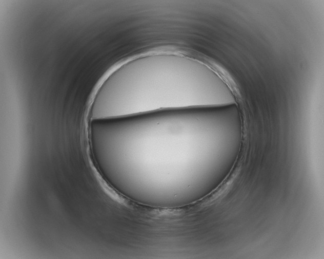 X0000115610808200911100930