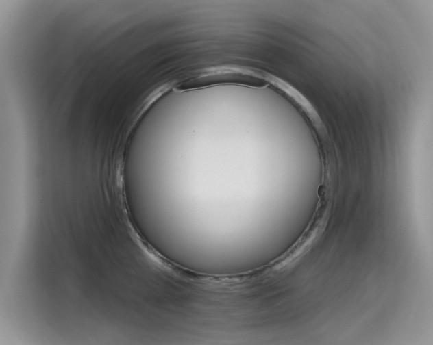 X0000115610809200911100930