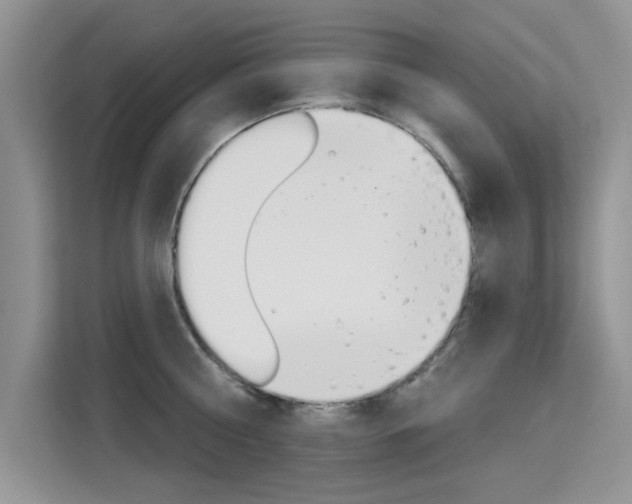 X0000115610810200911100930