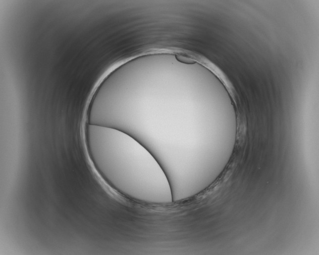 X0000115610811200911100930