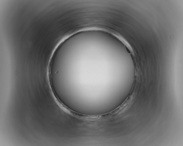X0000115610813200911100930