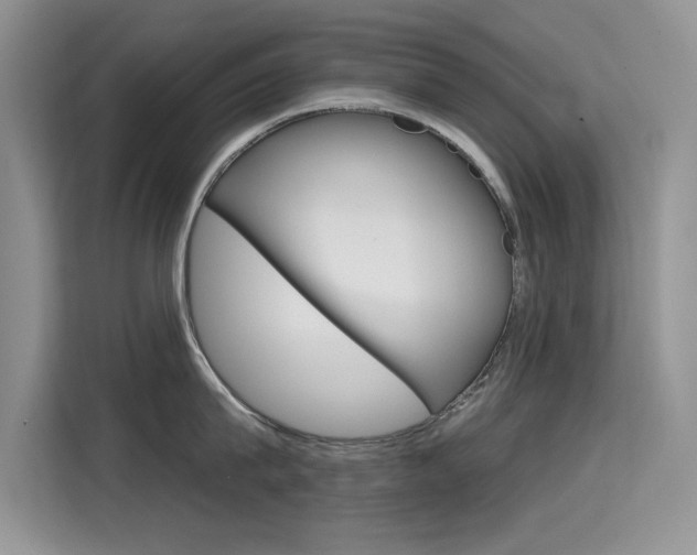 X0000115610815200911100930