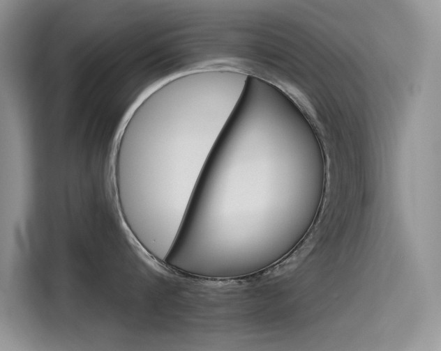 X0000115610816200911100930