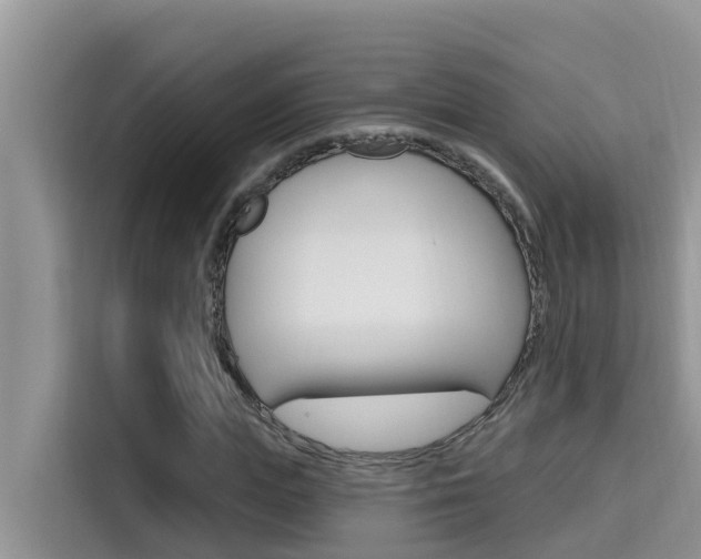 X0000115610823200911100930