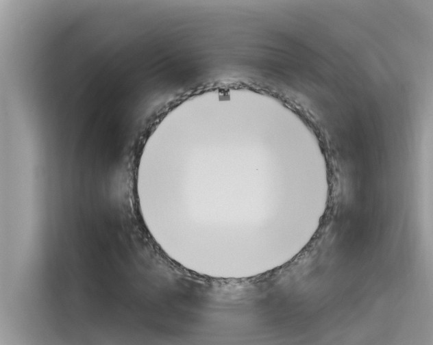 X0000115610824200911100930