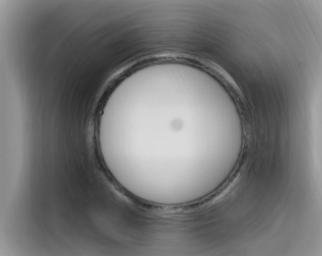 X0000115610831200911100930