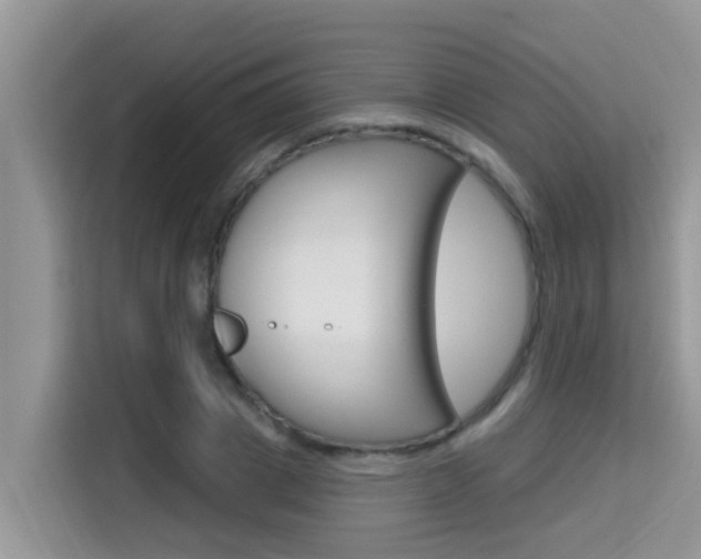 X0000115610833200911100930