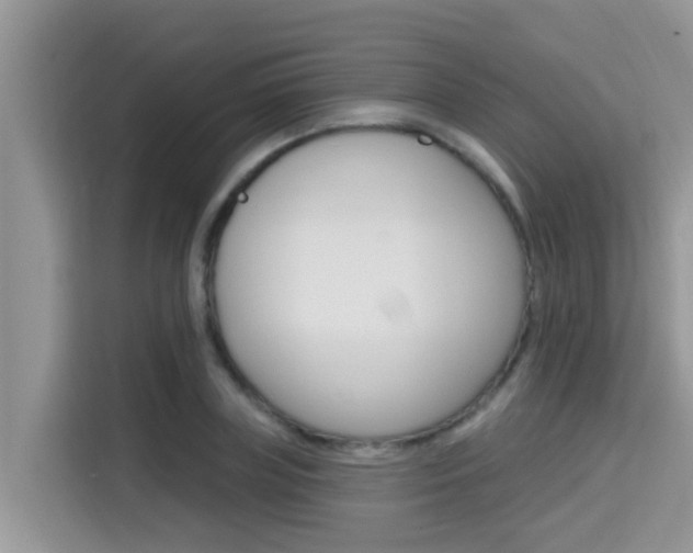 X0000115610835200911100930